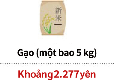 Gạo (một bao 5 kg)