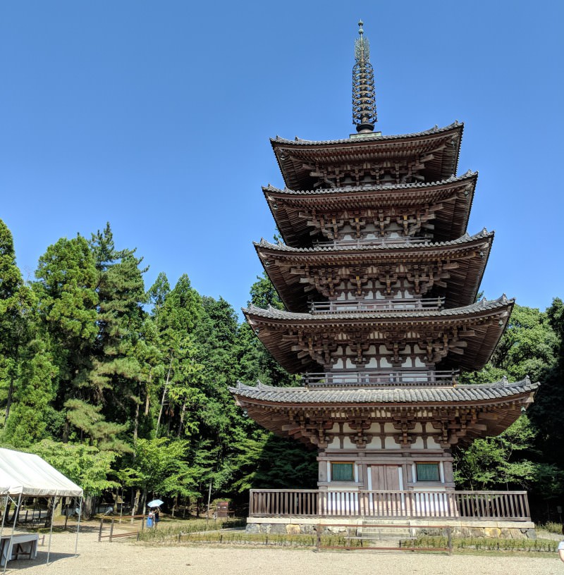 Learn About World Heritage Sites in Kyoto! (Daigo-ji Temple)
